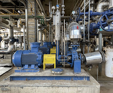 Hot Oil Circulation Pump